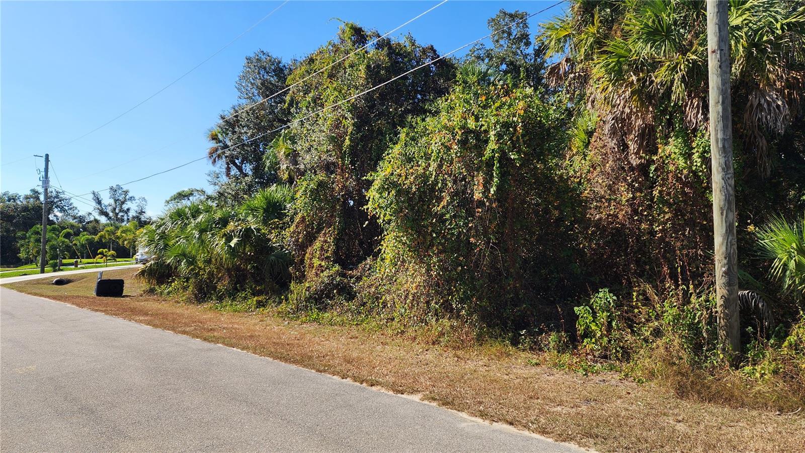 Andy Road, FL
