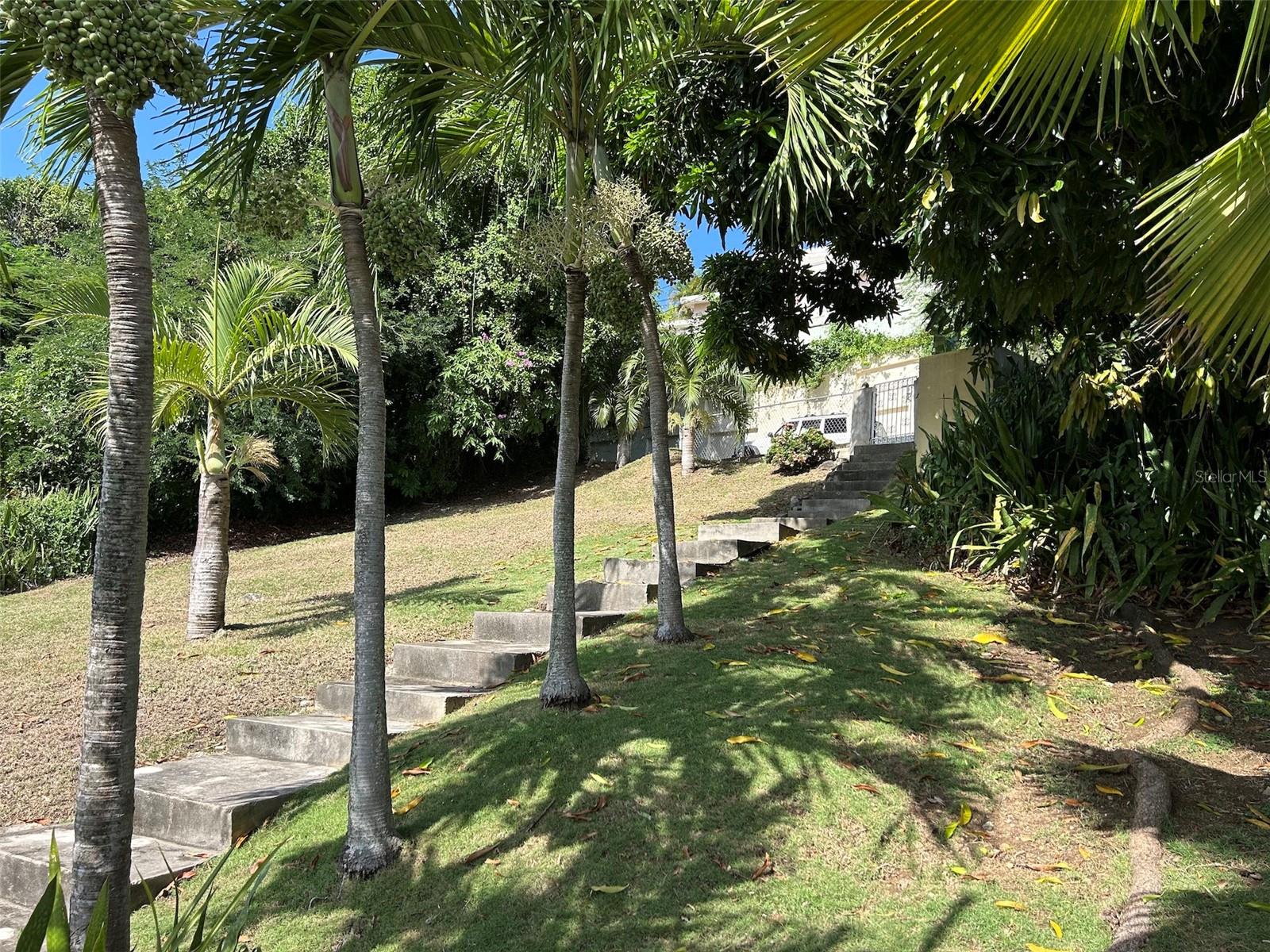Number 28 Destino, PR