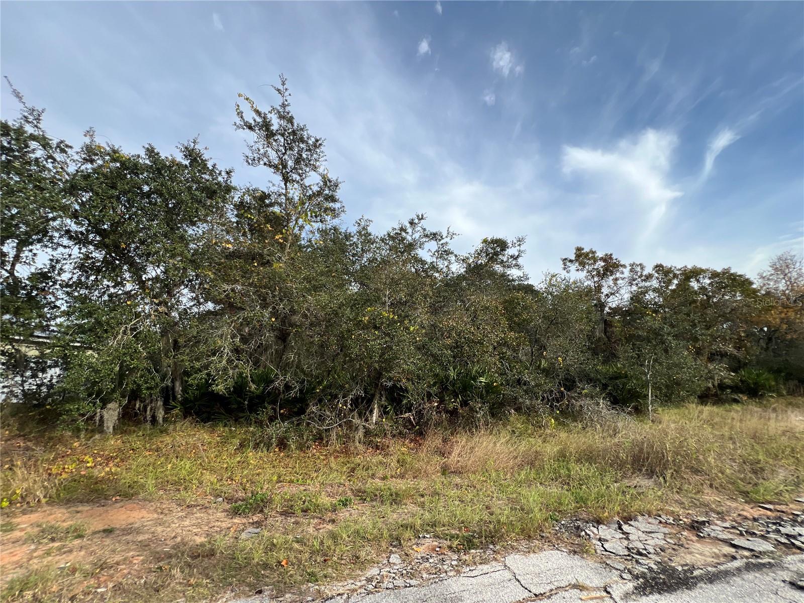 1205 Alafia Way, FL