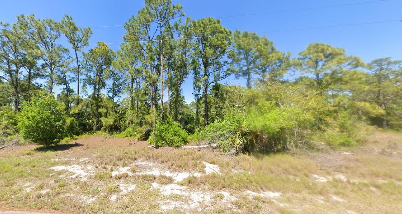 348 Gleaming Avenue, FL
