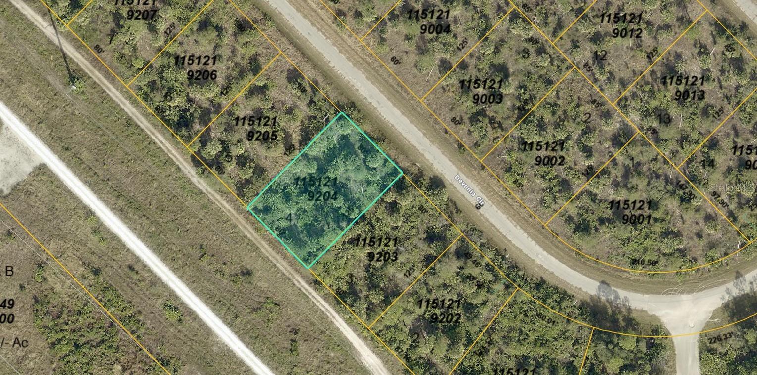 1151219204 Devonia Circle, FL