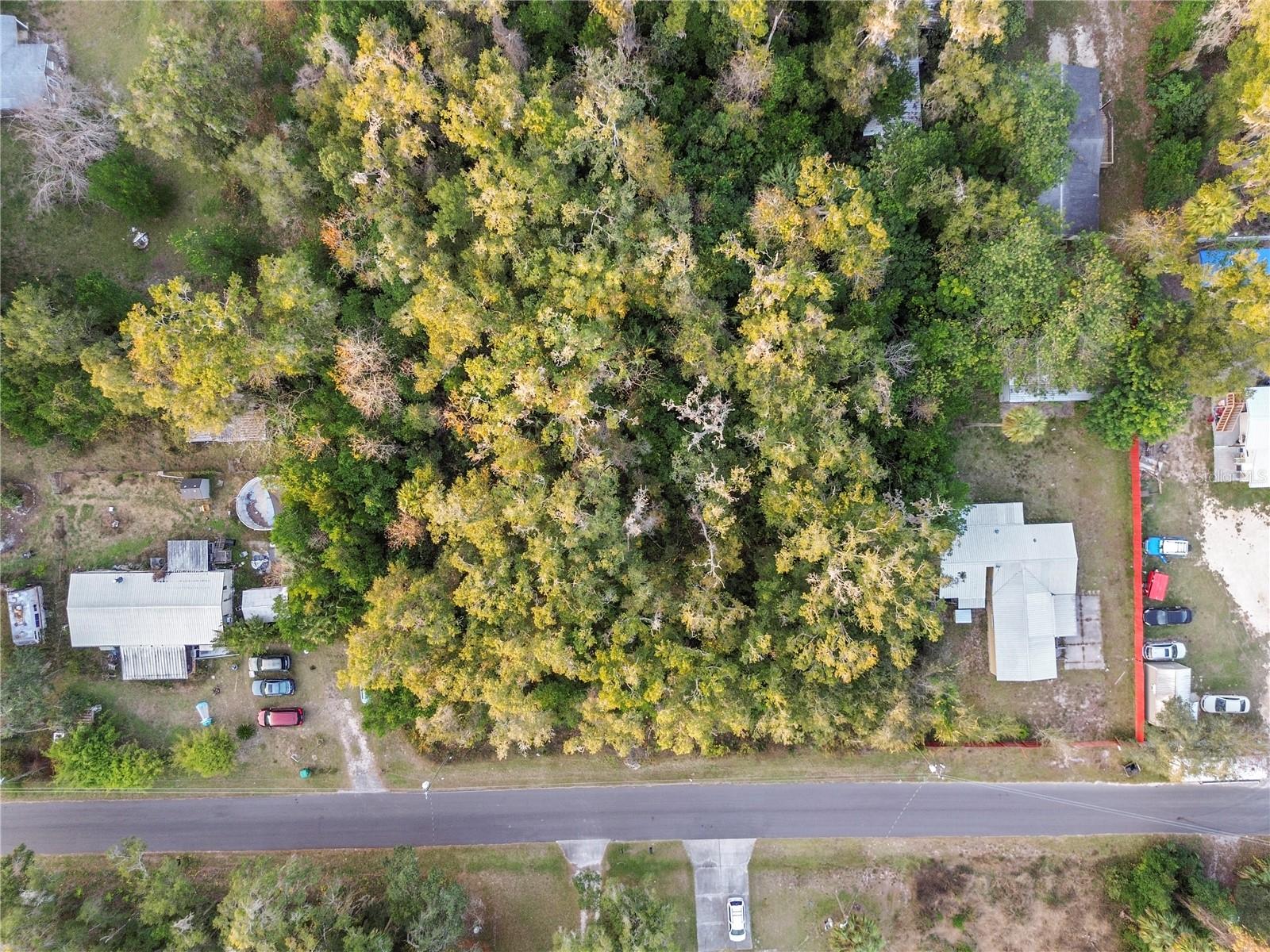 6301 Goldenleaf Lane, FL