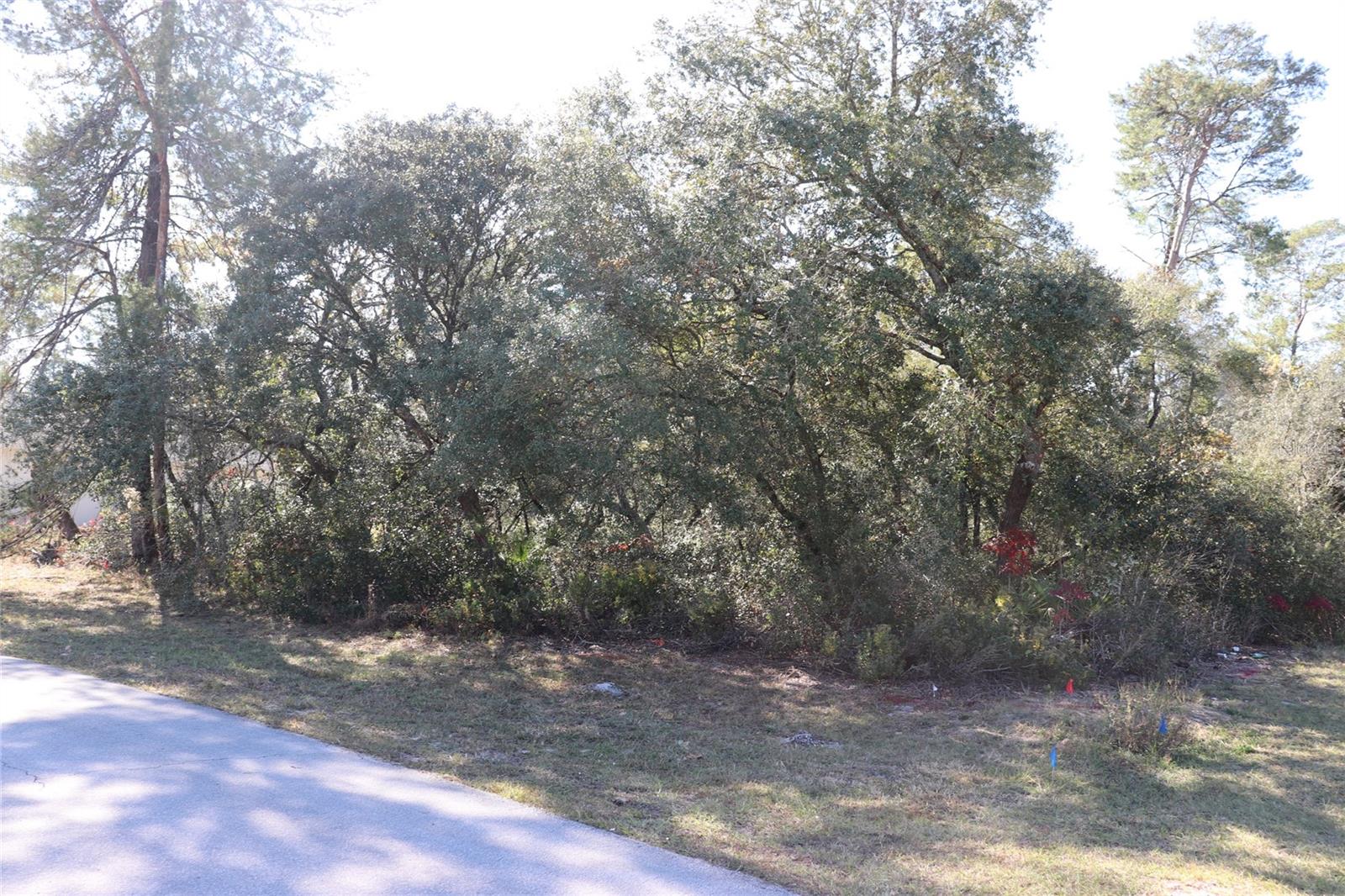 Tbd Marion Oaks Golf Rd, FL