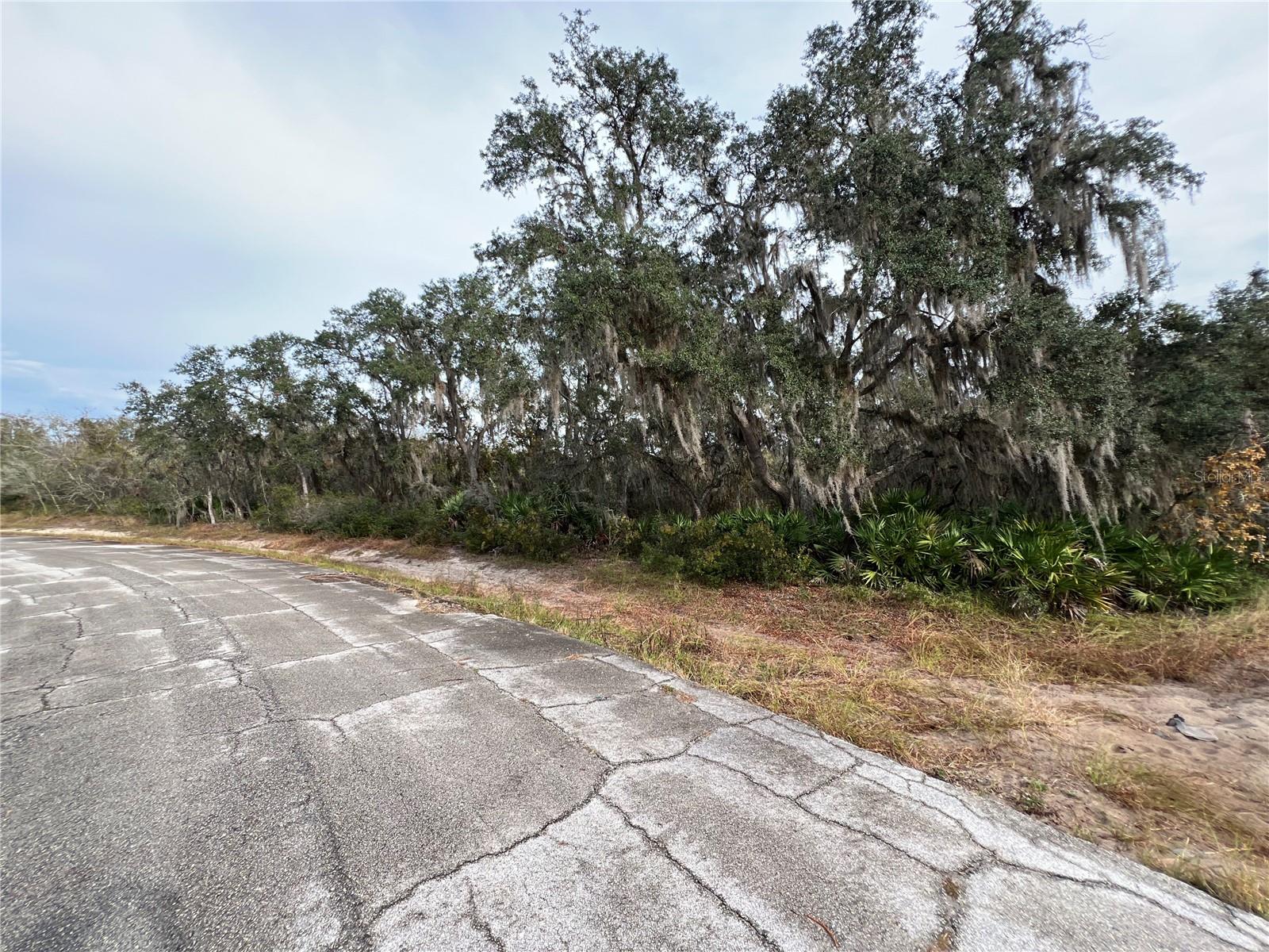 1251 Baltic Dr, FL