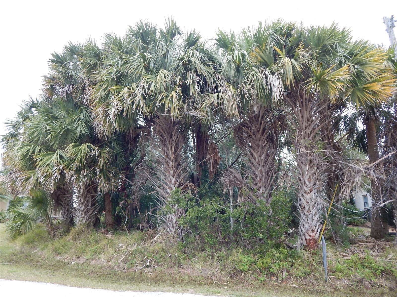 8 Collingville Ct, FL