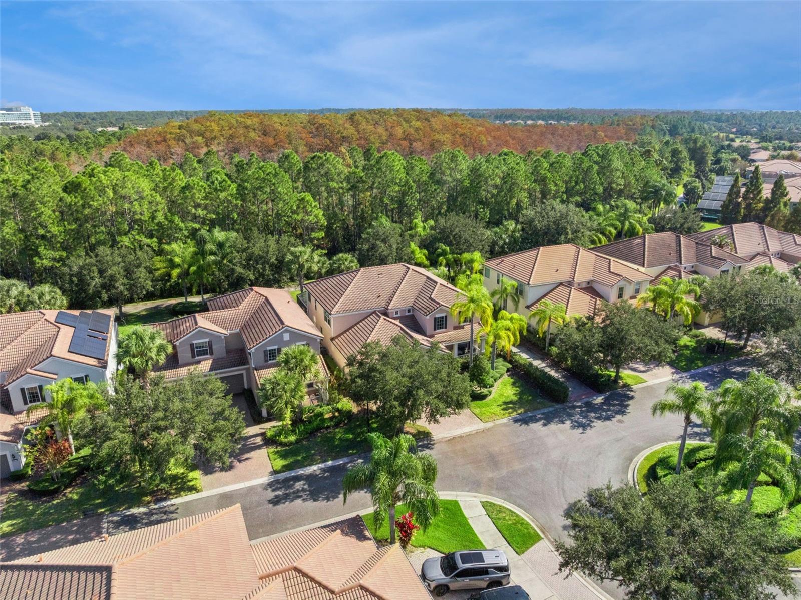 7991 Esta Lane, FL