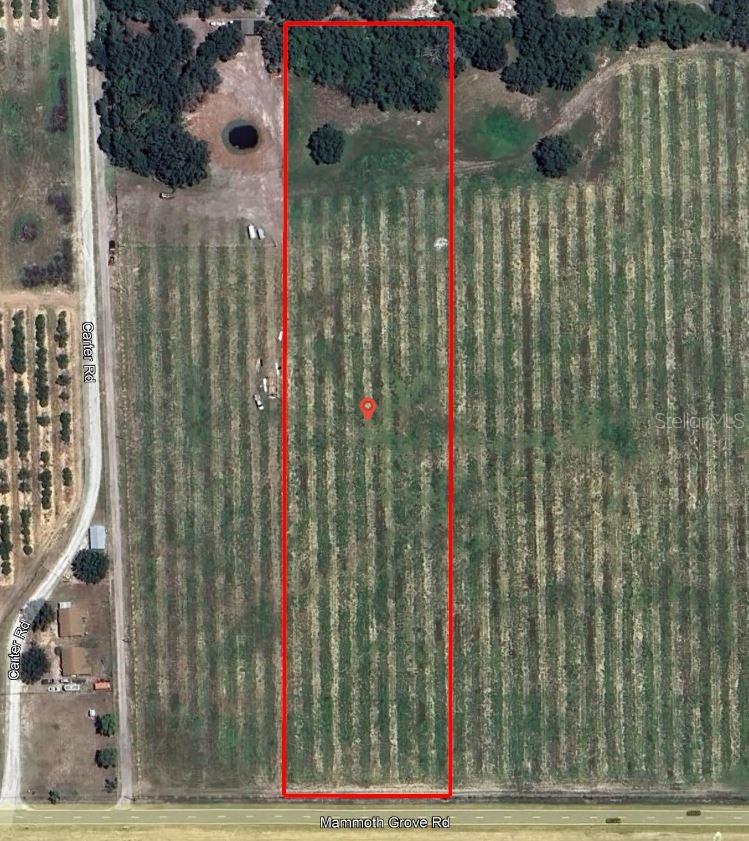 Mammoth Grove Rd, FL