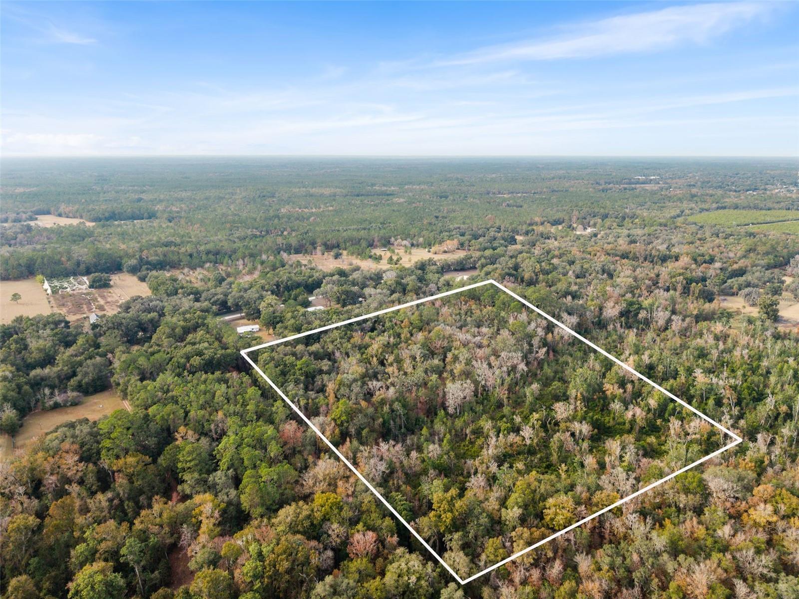Se 225th Dr, FL