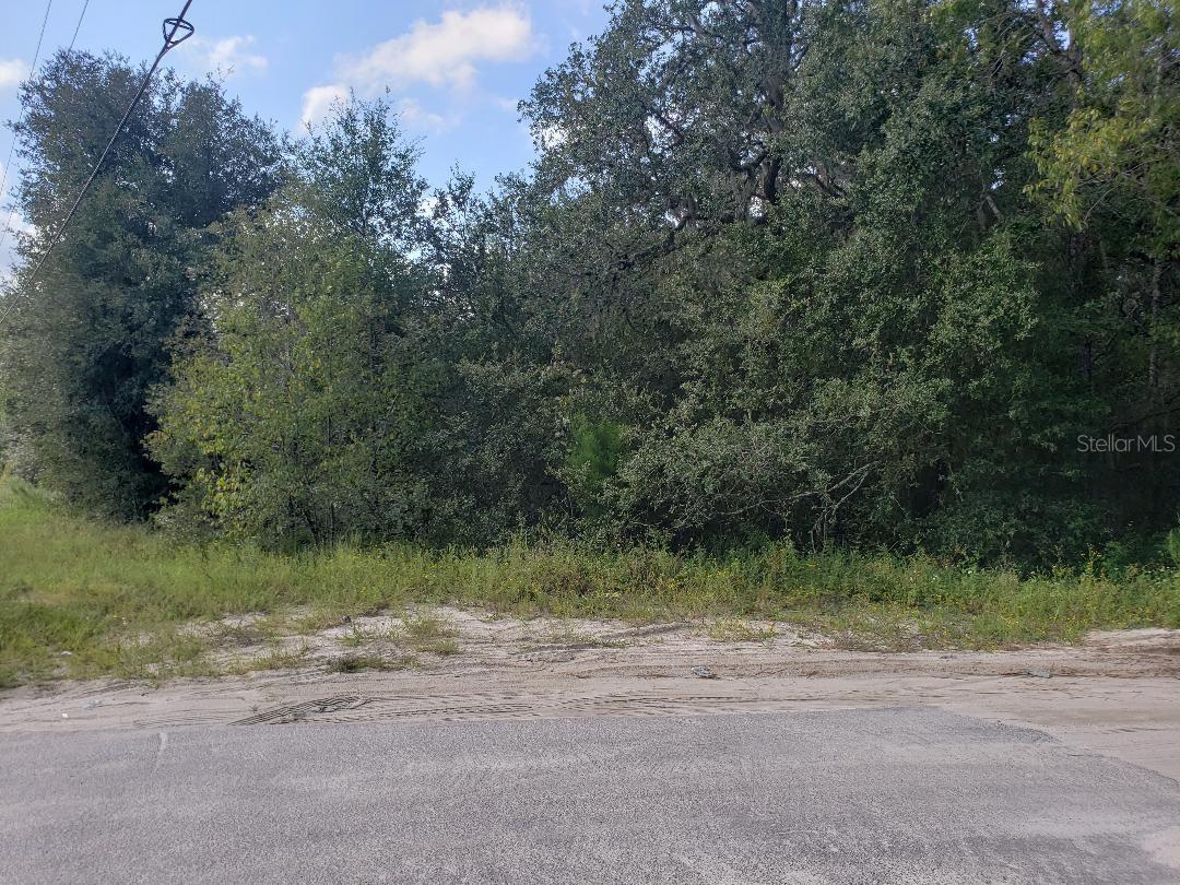 345 County Road 315, FL
