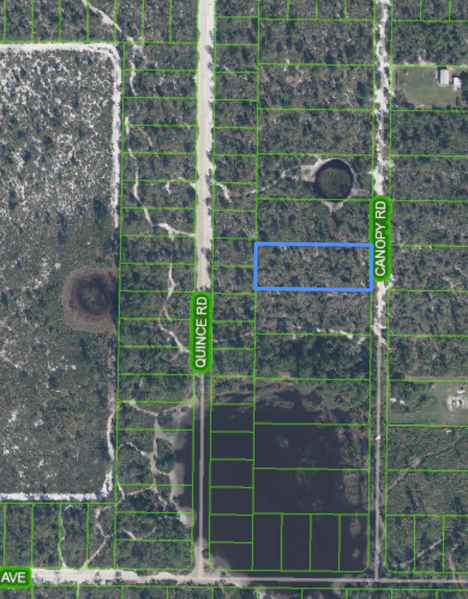 5907 Canopy Rd, FL