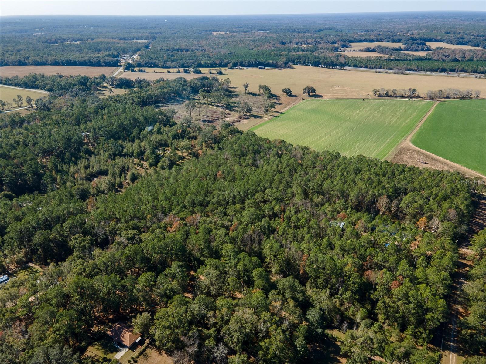 Tbd County Rd 1491, FL