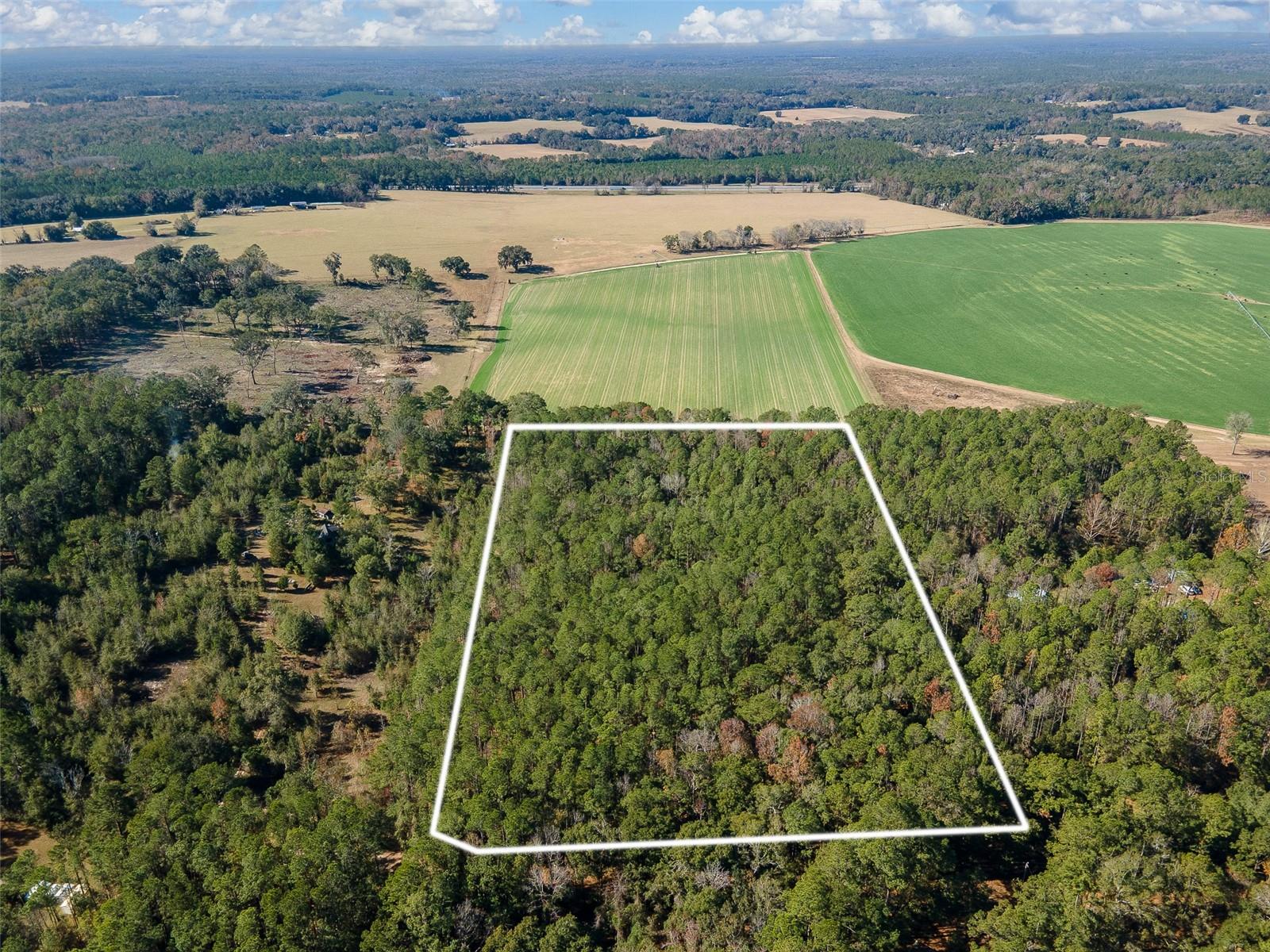 Tbd County Rd 1491, FL