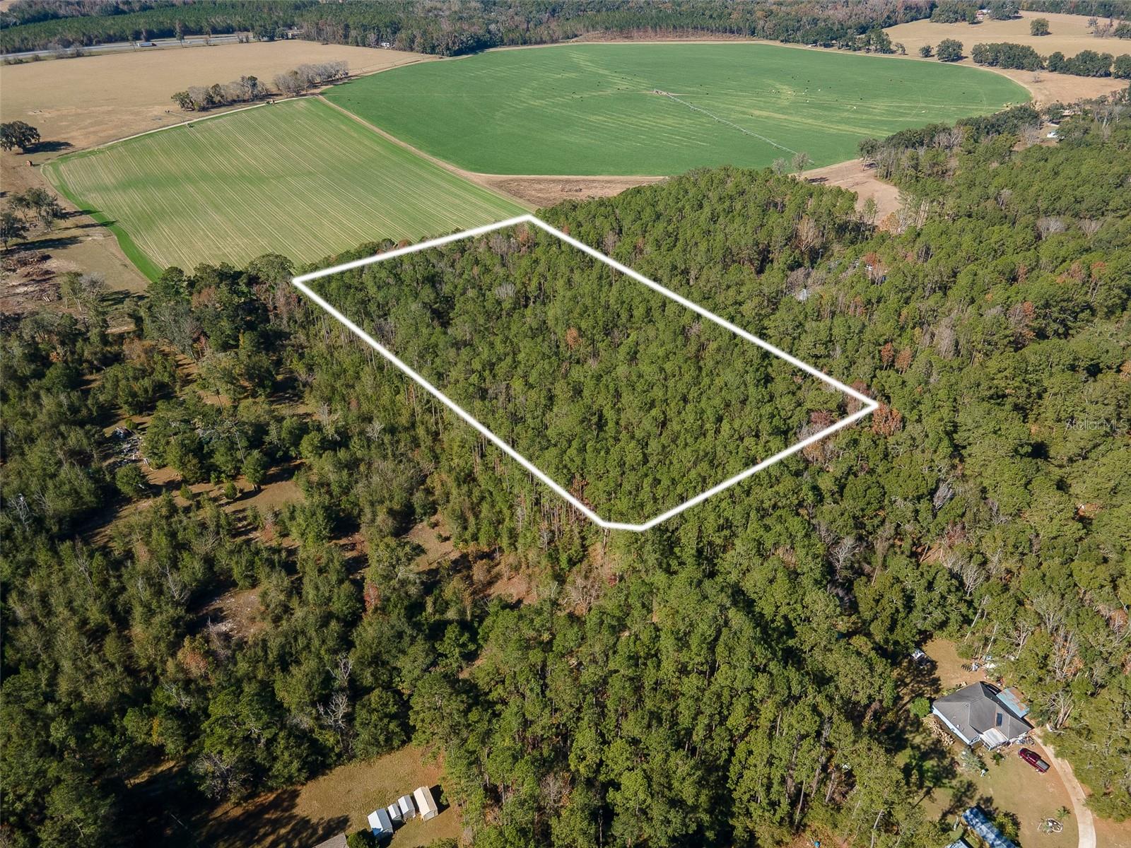 Tbd County Rd 1491, FL