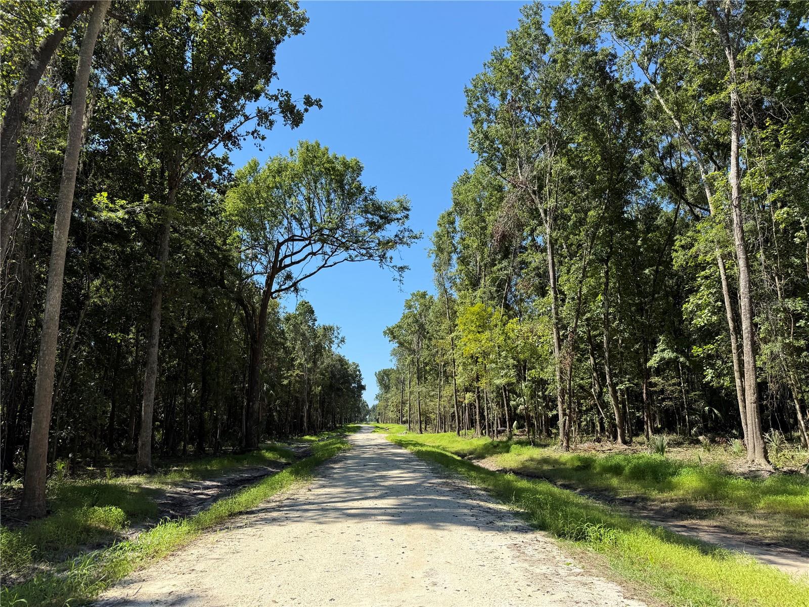 Dr #7 (10ac) Nw 193rd St, FL