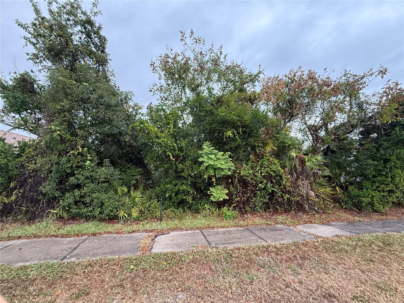 3058 Kirkland Street, FL