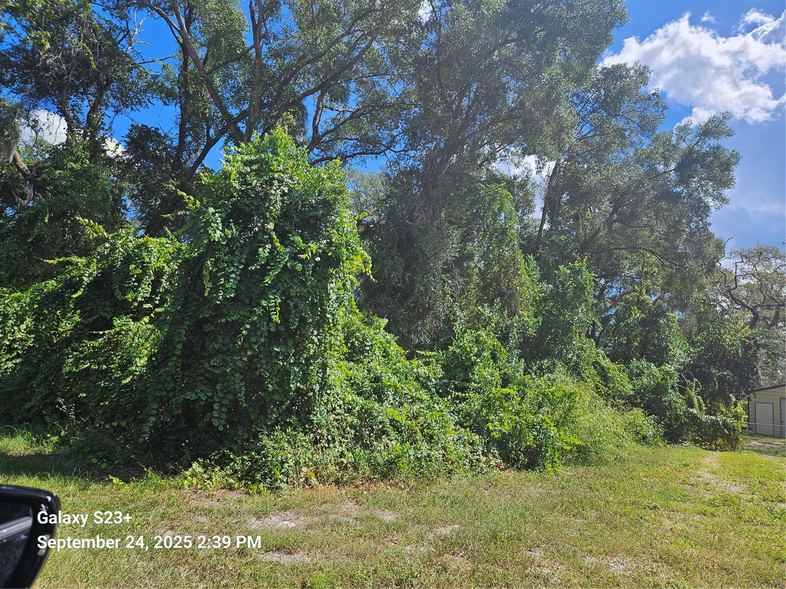 5716 Tangelo Lane, FL