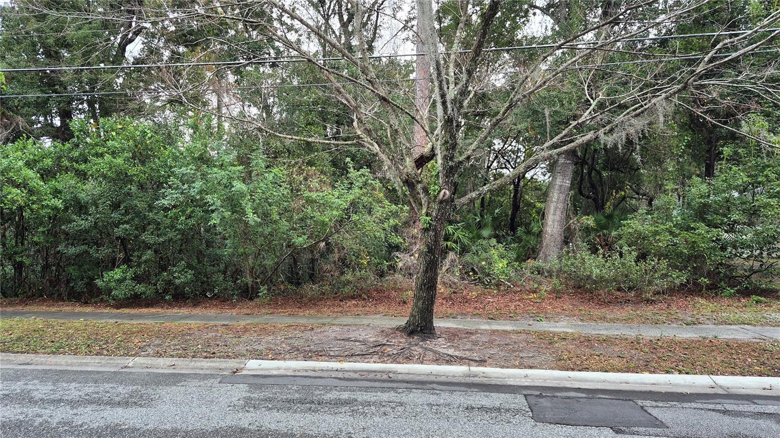 Winter Springs, FL