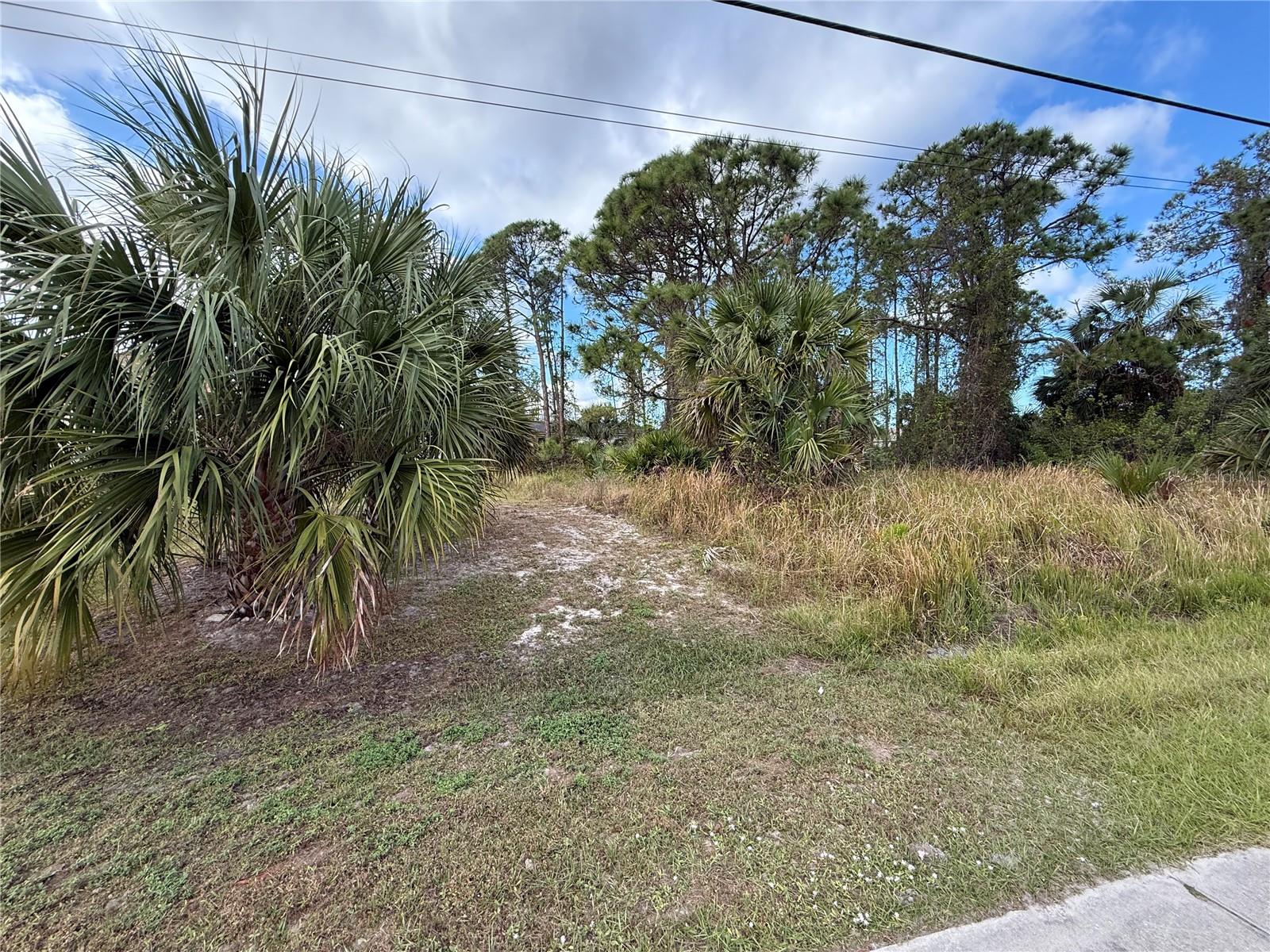 Jeannin Drive, FL