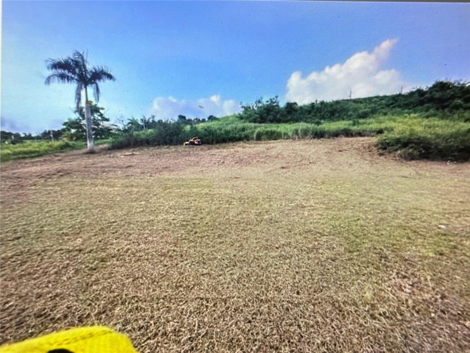 Mirador De Palmer, PR