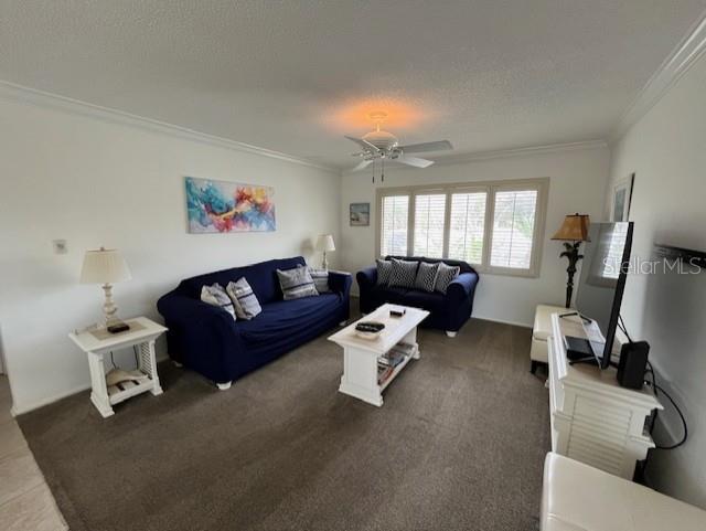 6703 Midnight Pass Road, FL