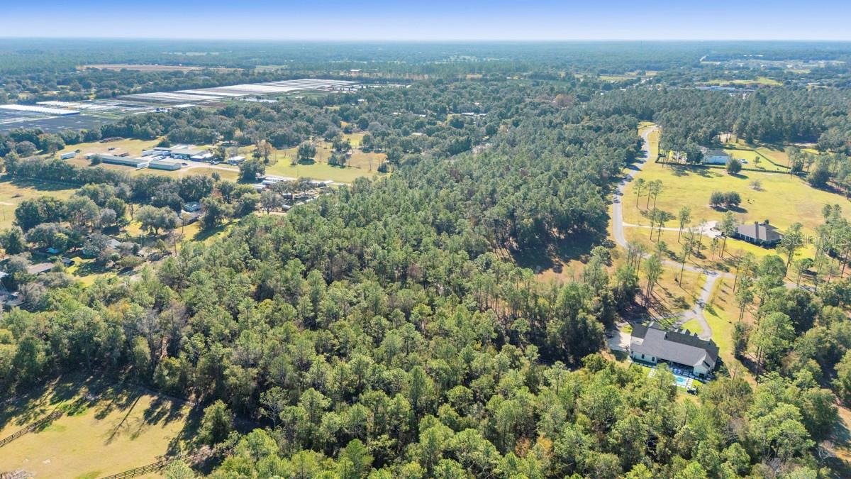 24250 Deep Springs Loop, FL