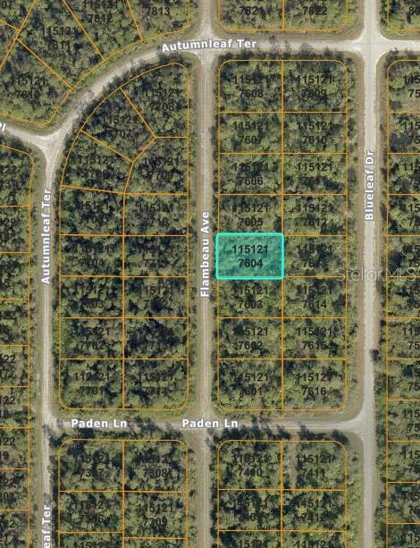Flambeau Avenue, FL