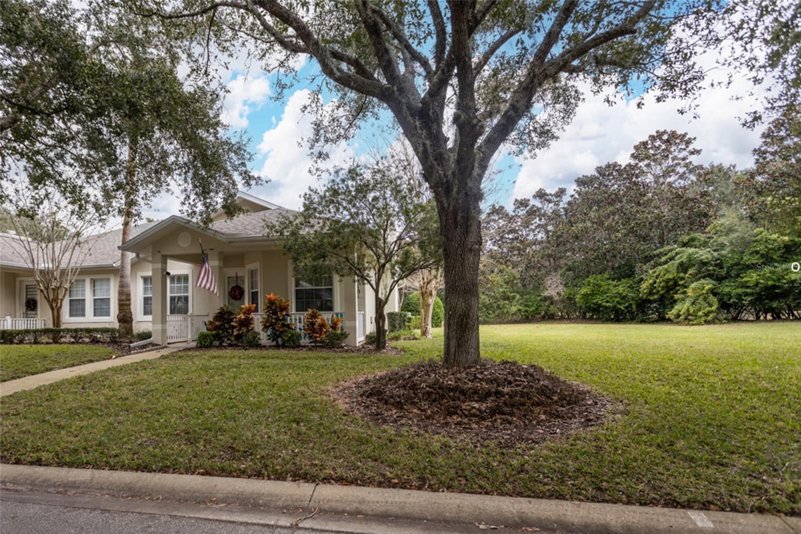 3101 Inishmore Drive, FL