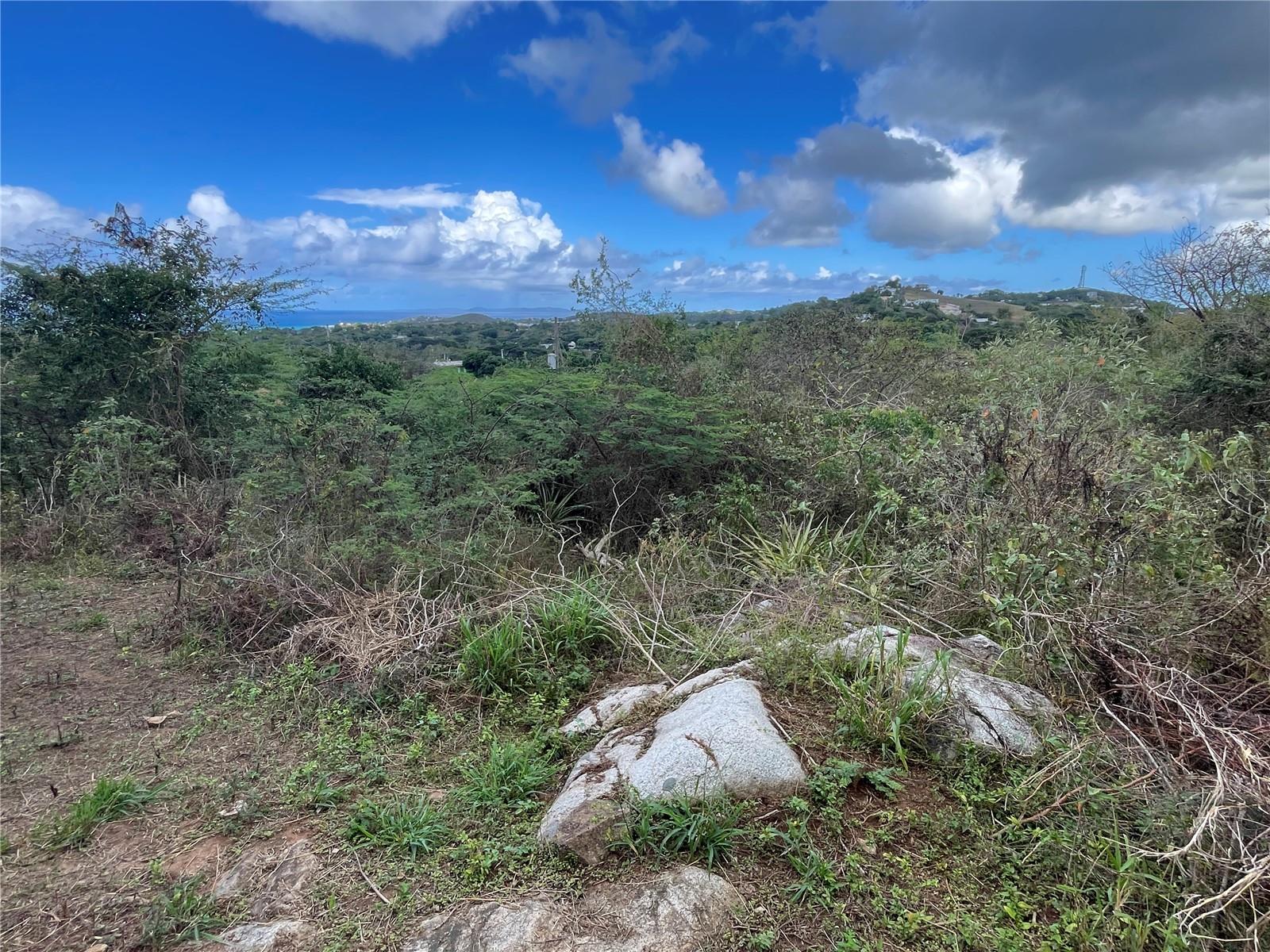 3 Windhorse Farm, PR