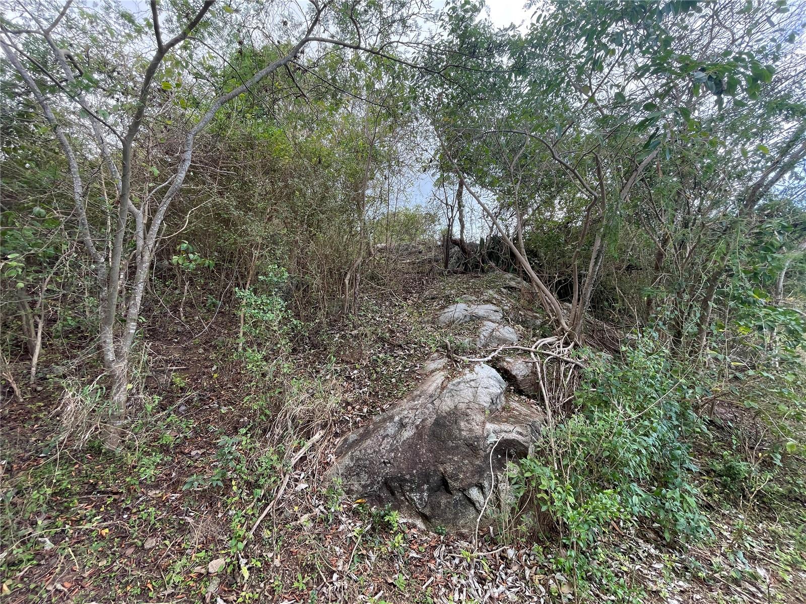 3 Windhorse Farm, PR