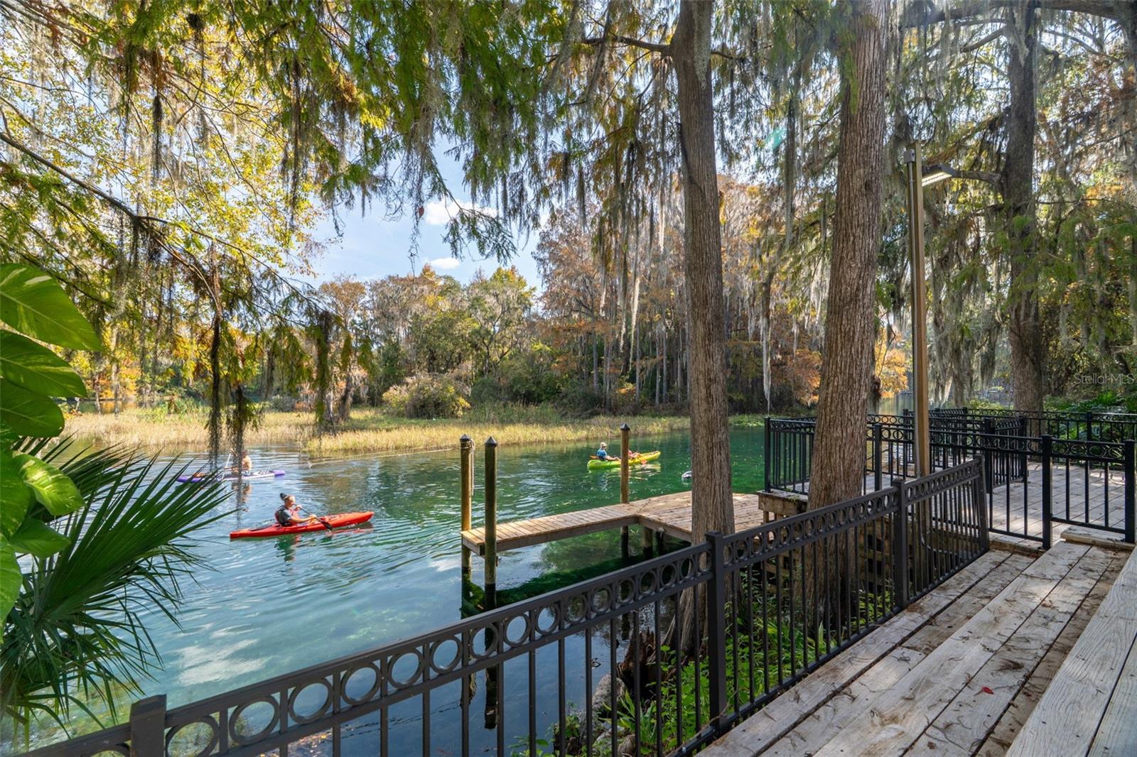 11685 Blue Cove Drive, FL