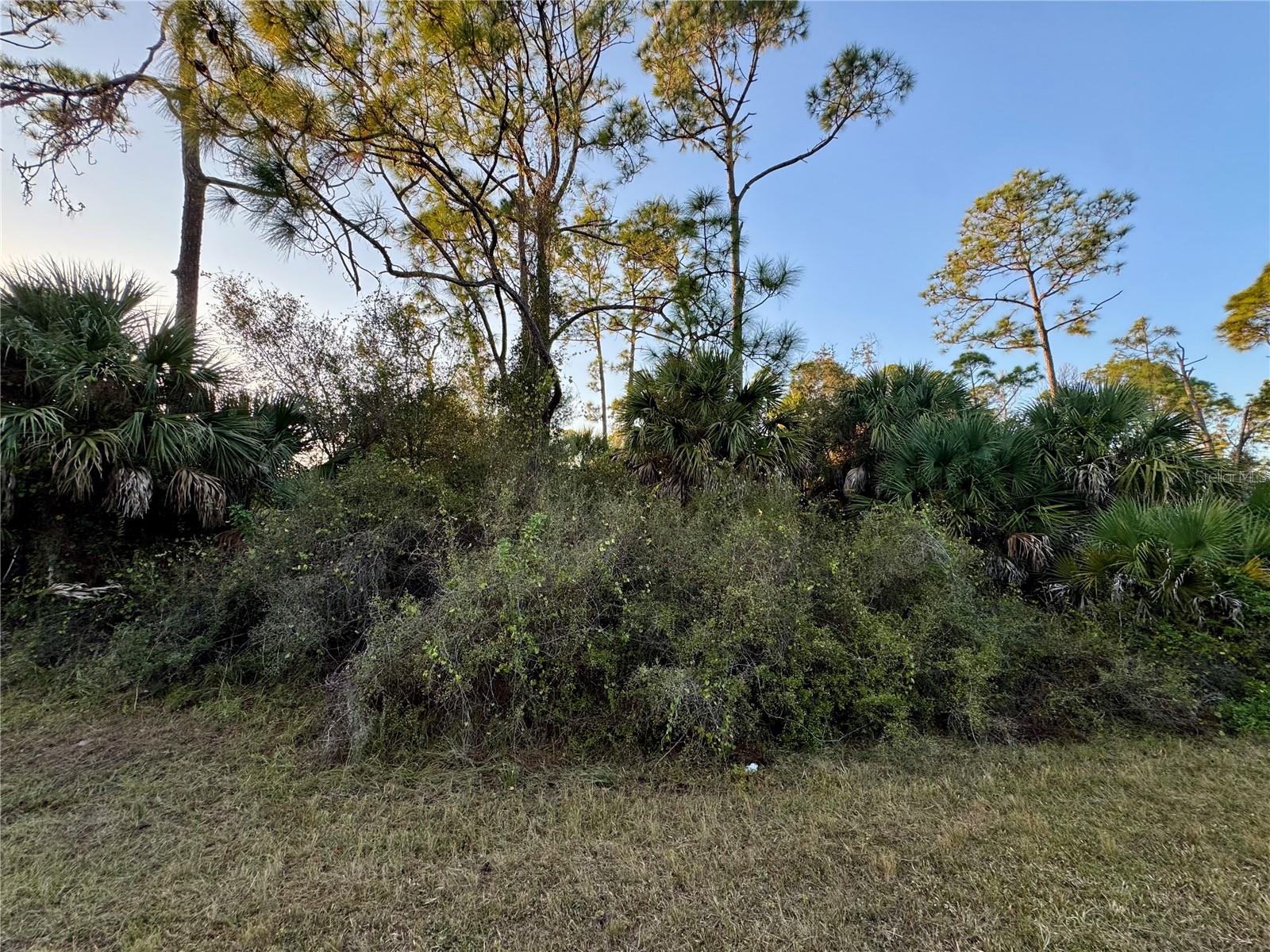 Silverleaf Rd, FL
