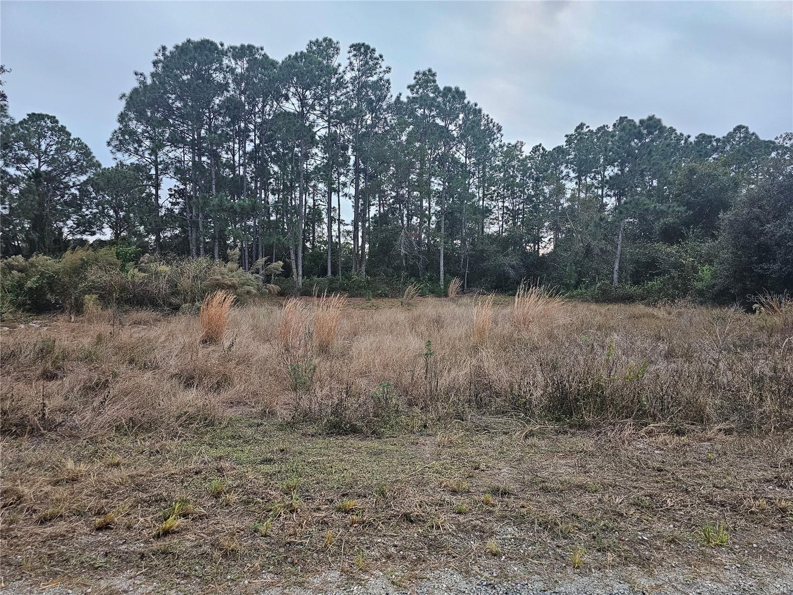 3348 Dorado Avenue, FL