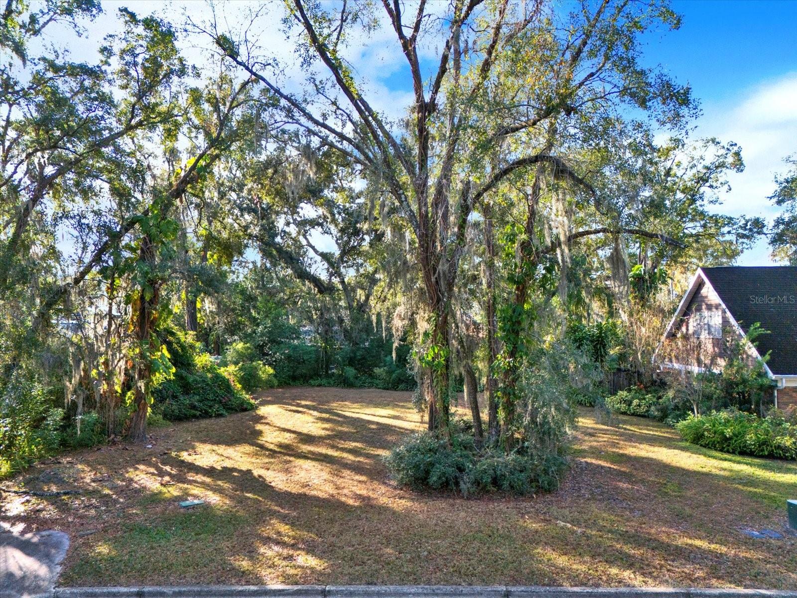1113 Riverhills Drive, FL