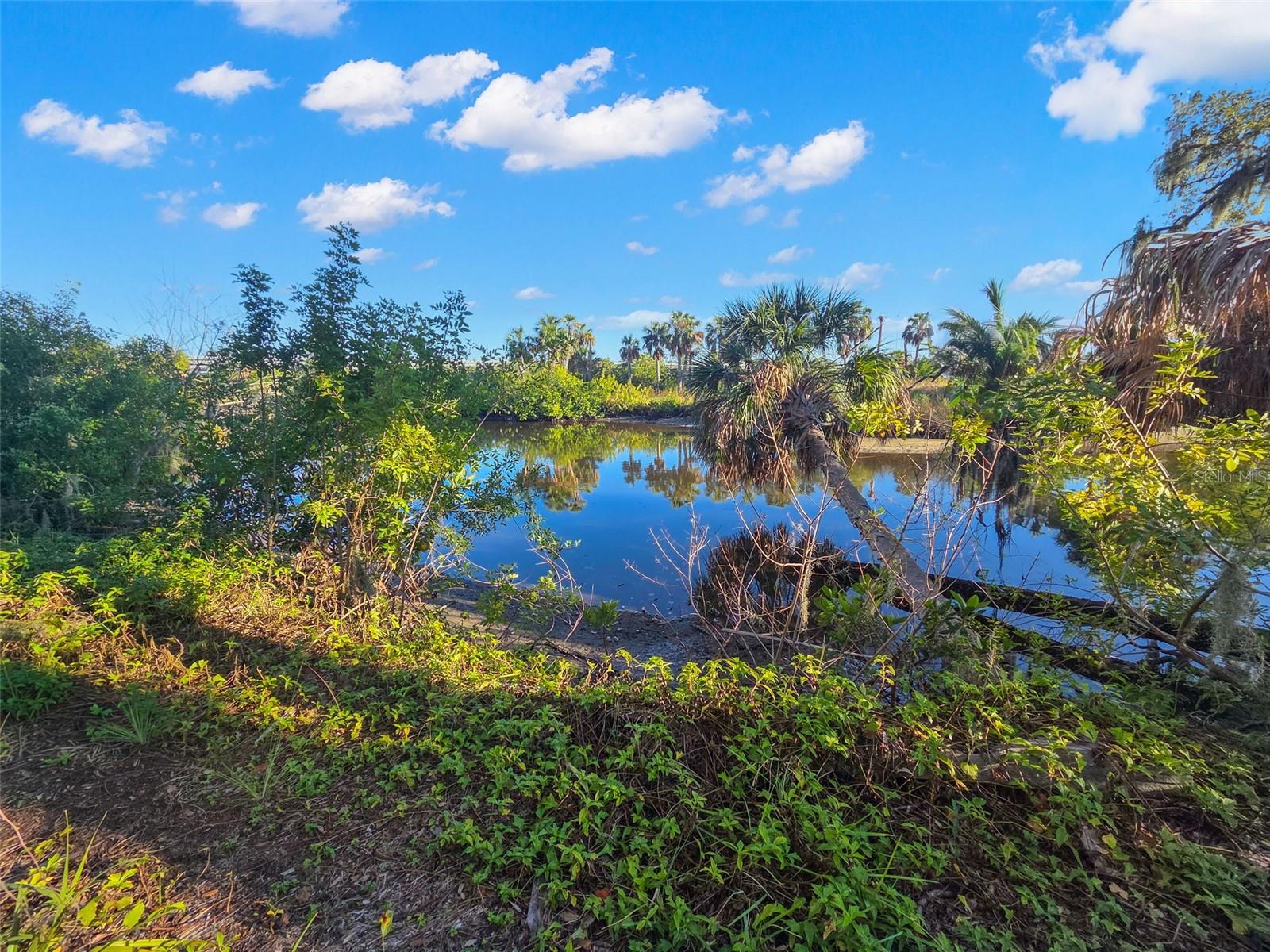 9511 River Cove Drive, FL
