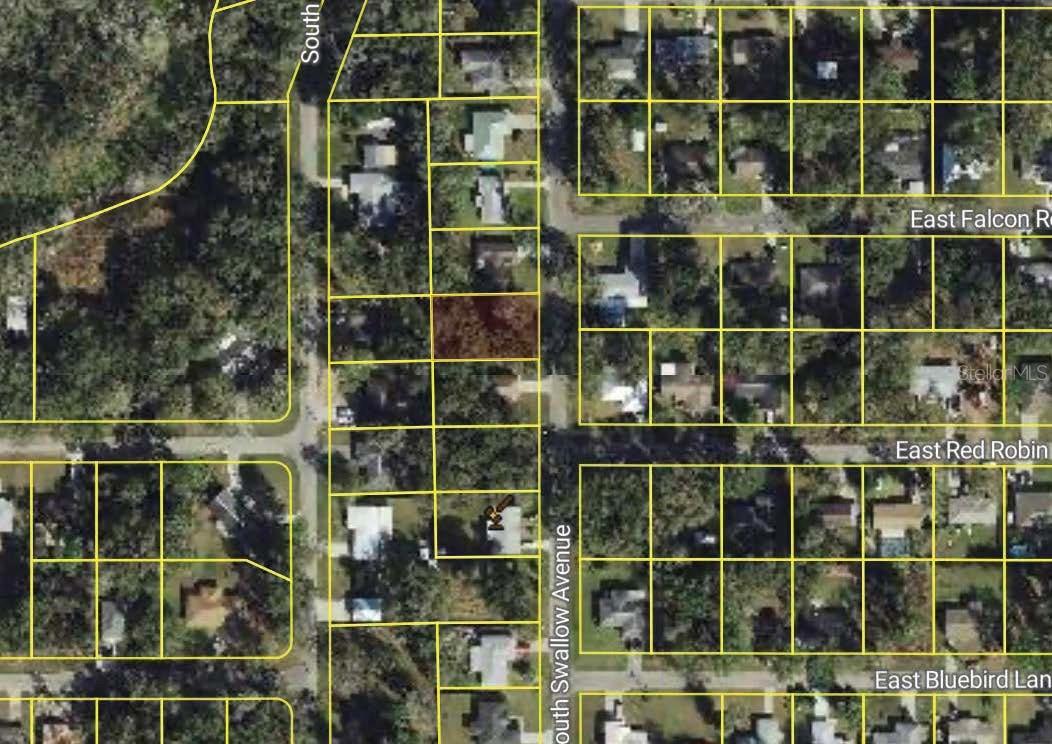 5136 Swallow Avenue, FL