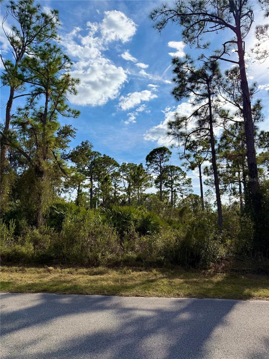 Burwin Ave, FL