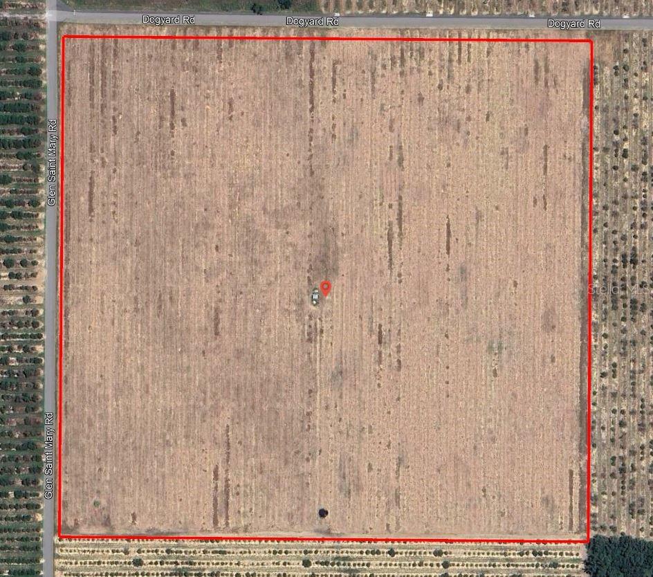 Dog Yard Road, FL