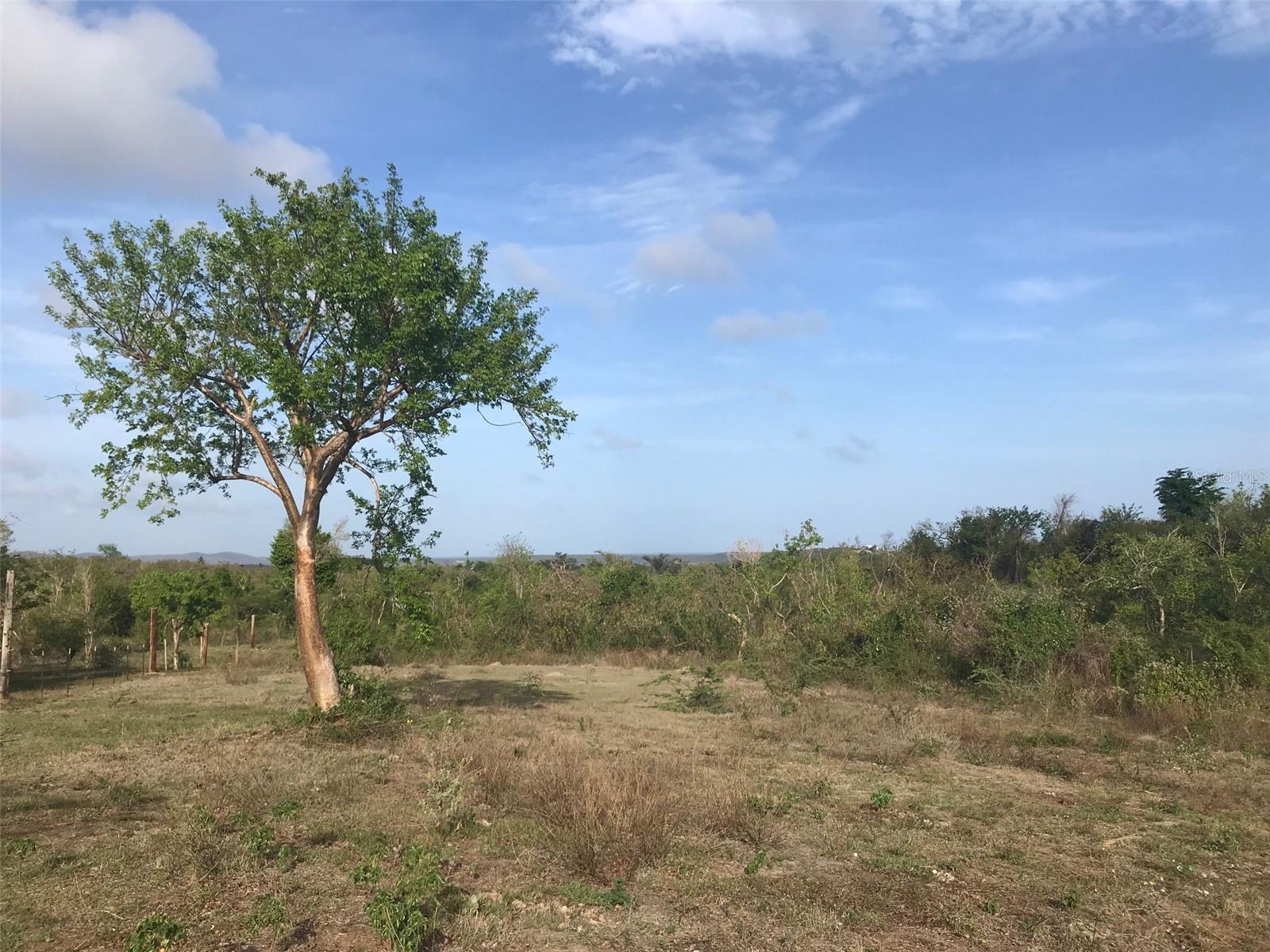 5 Doctor'S Path, PR