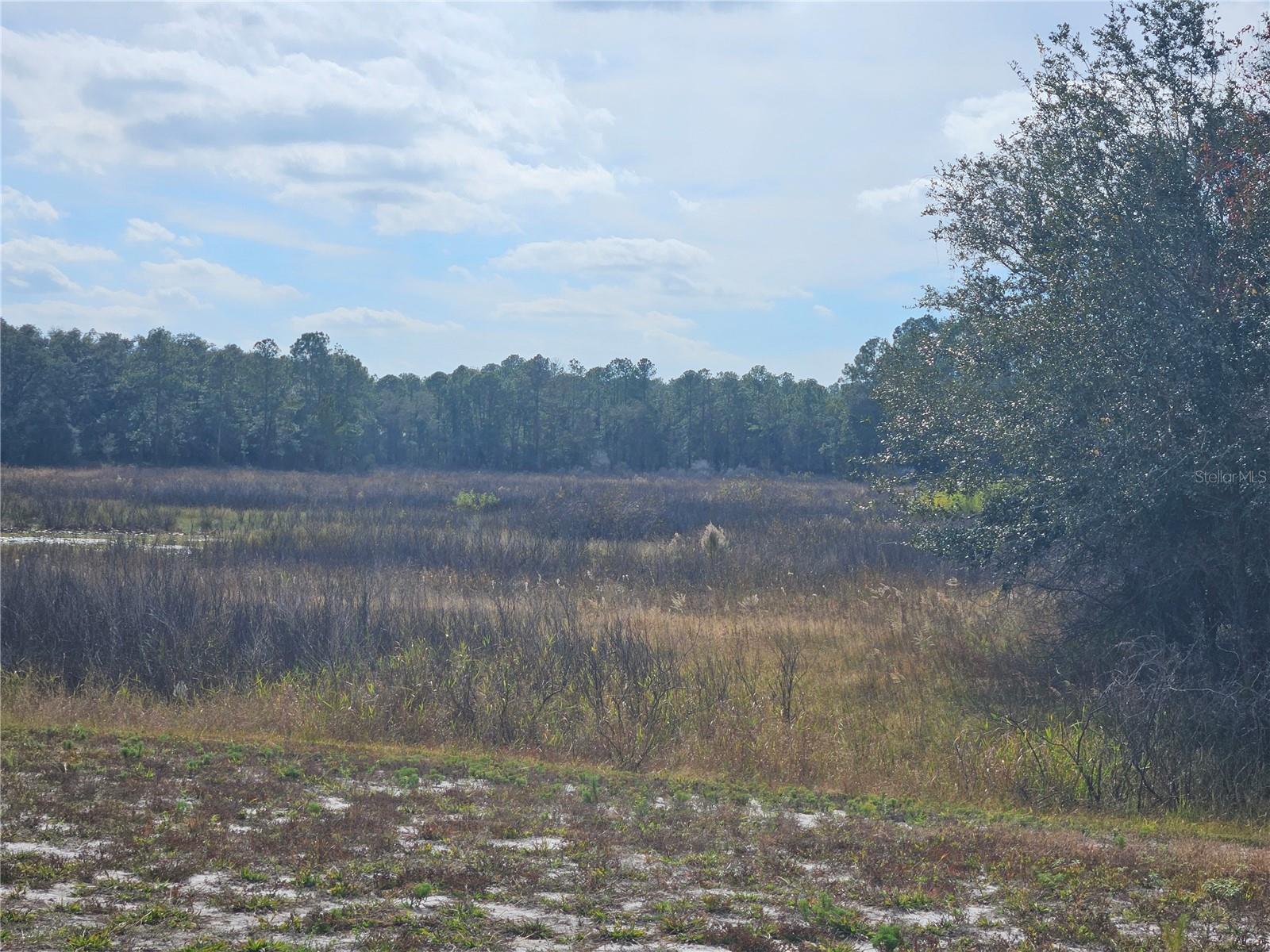 34794 Orchid Parkway, FL