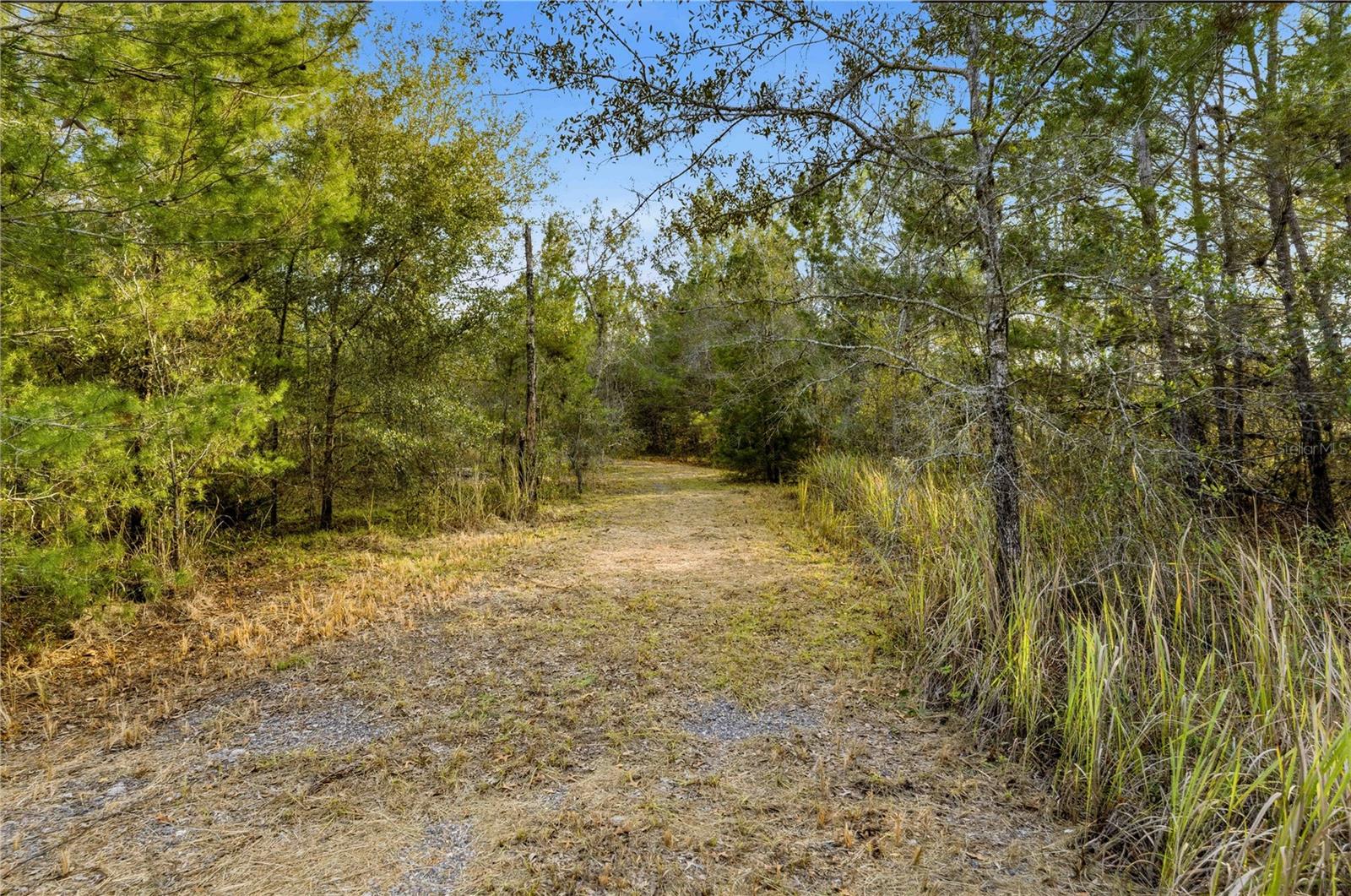 0 Backwoods Way, FL