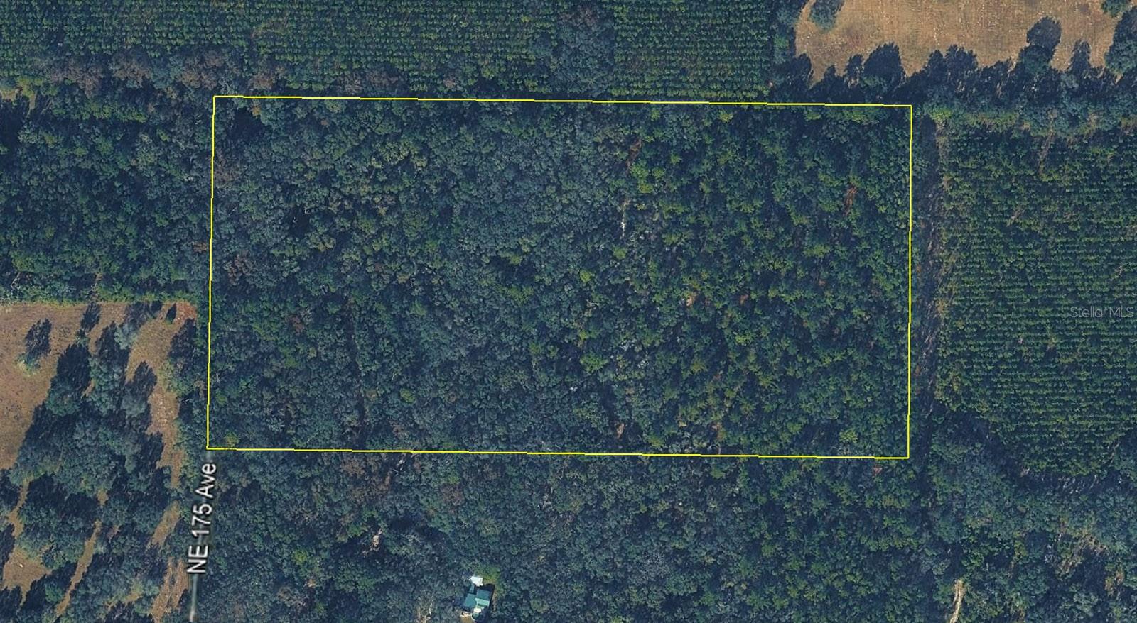Tbd 175th Avenue, FL