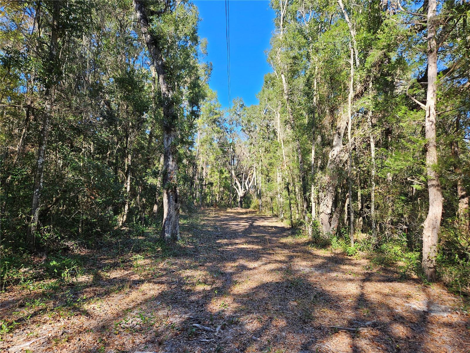 Tbd 175th Avenue, FL