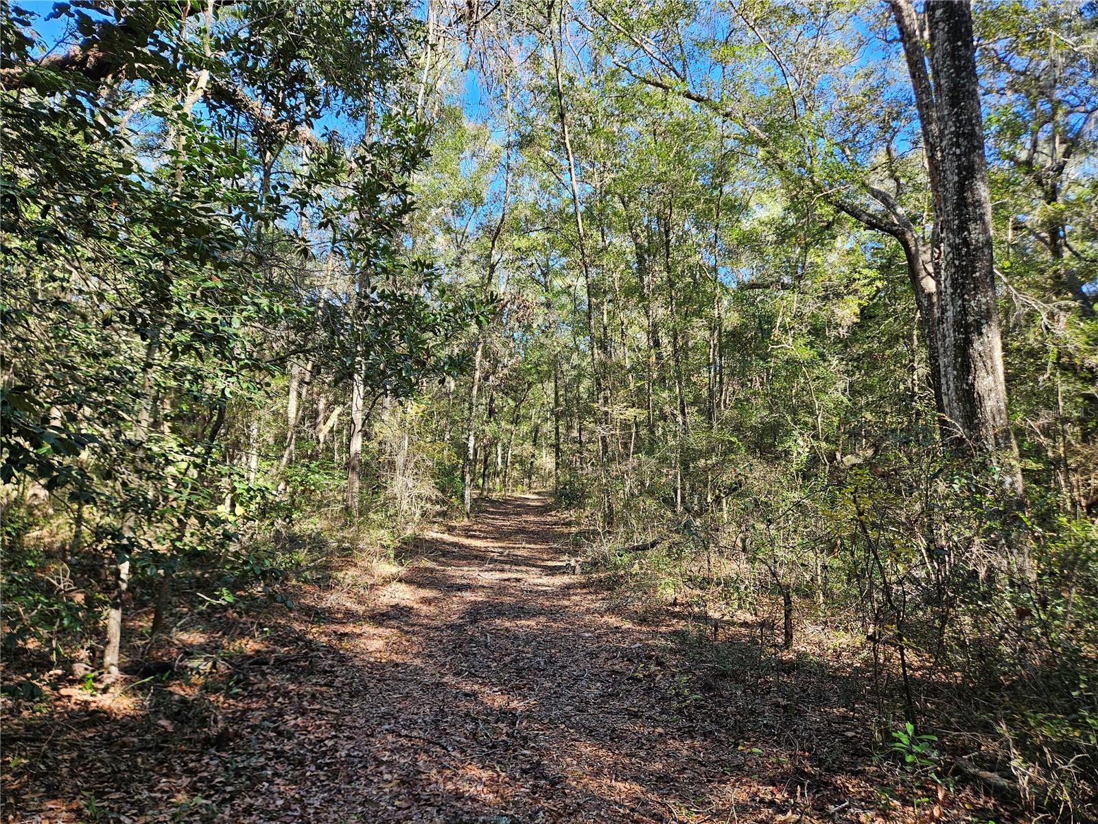 Tbd 175th Avenue, FL