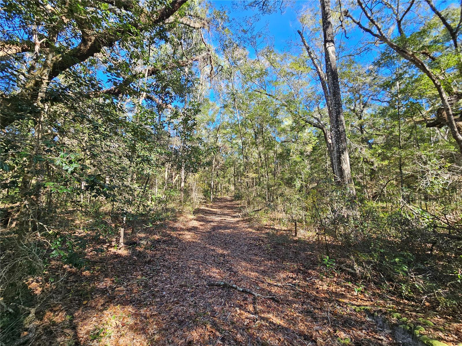 Tbd 175th Avenue, FL
