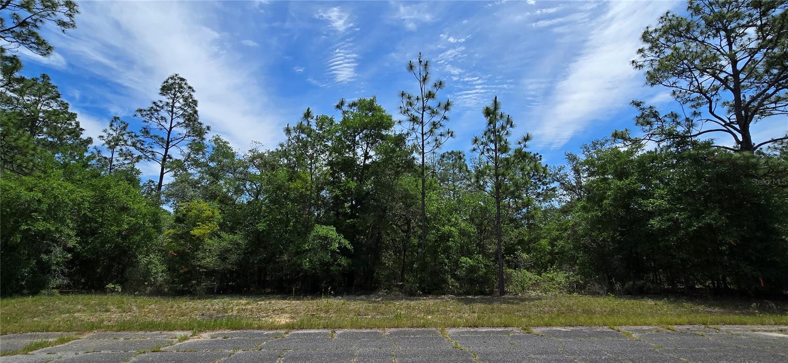 Lot 18 Unit 1 Blk 6 Fusion Cir, FL