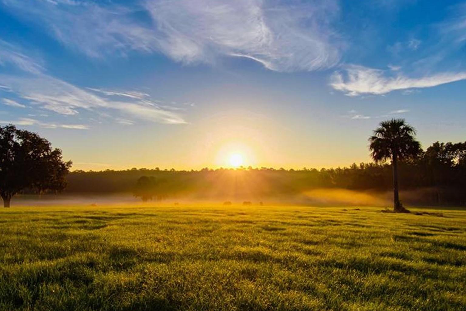 Tbd Hwy 329, FL