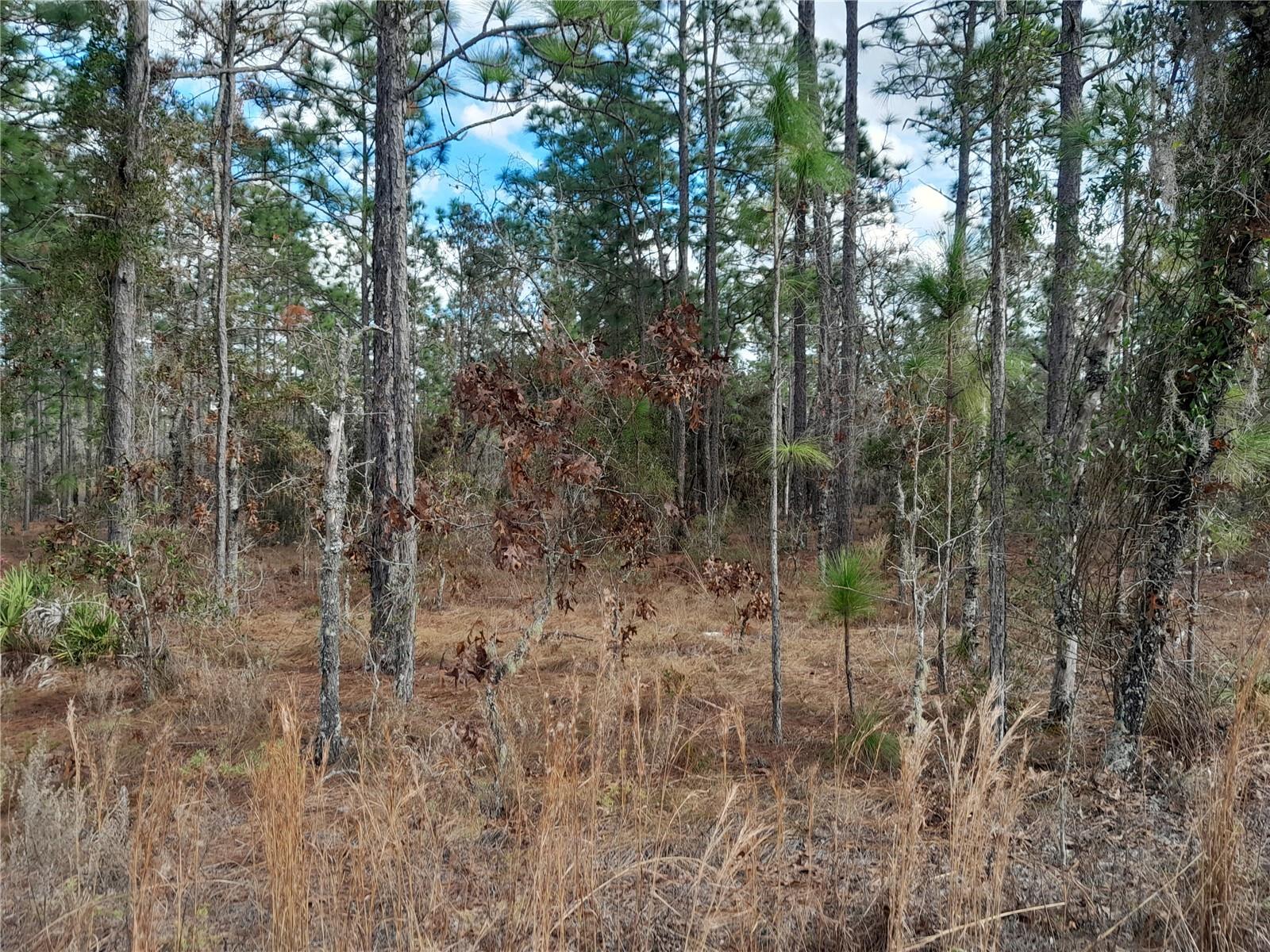 Tbd 150th Avenue, FL