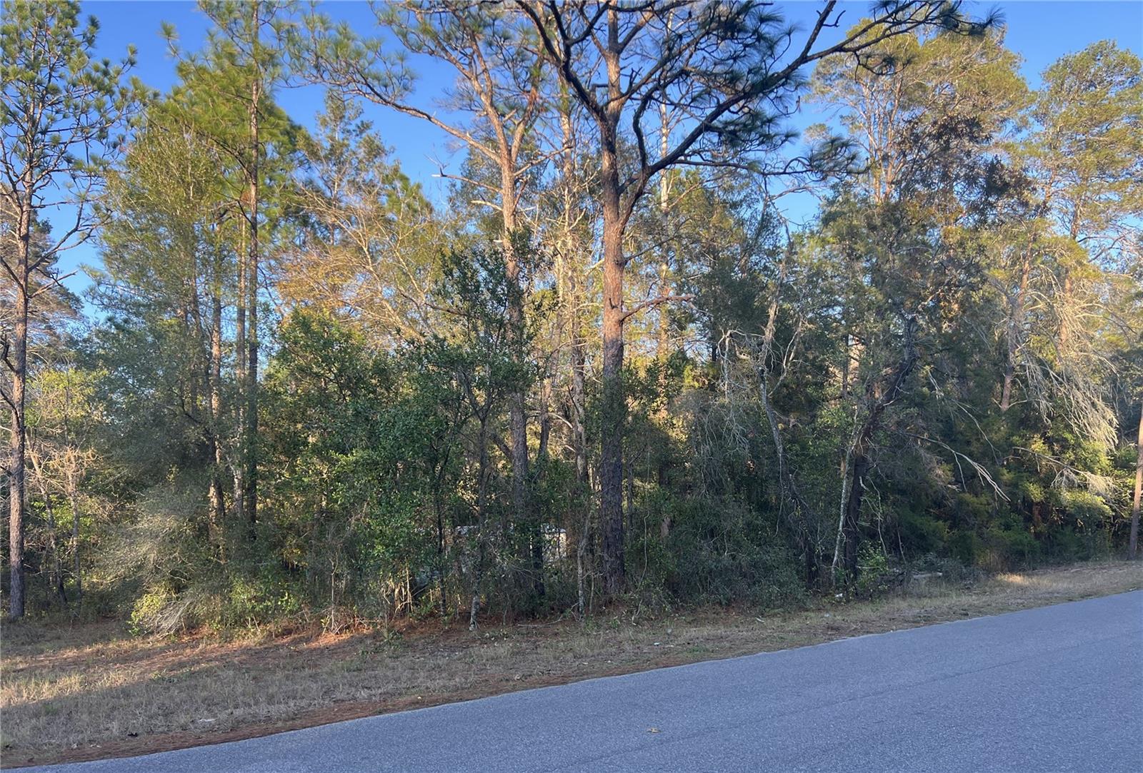 Lot 4+ Blair Avenue, FL
