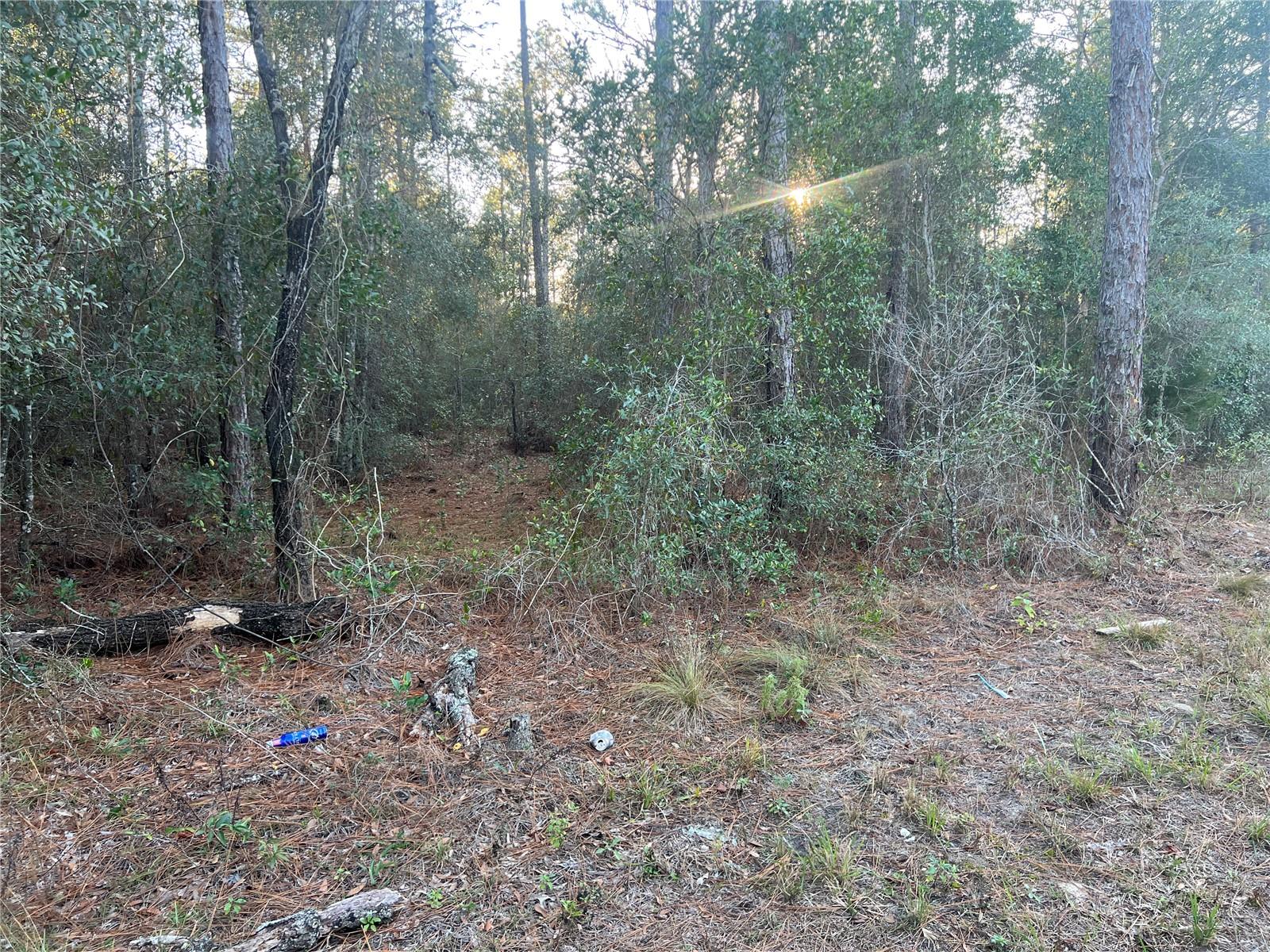 Lot 4+ Blair Avenue, FL