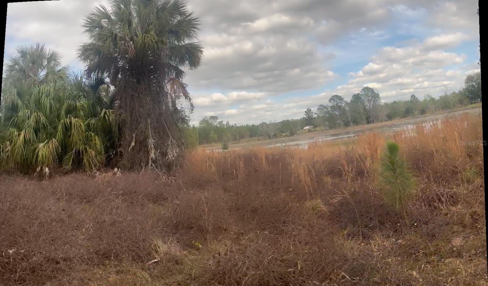 44750 Misty Isle Drive, FL